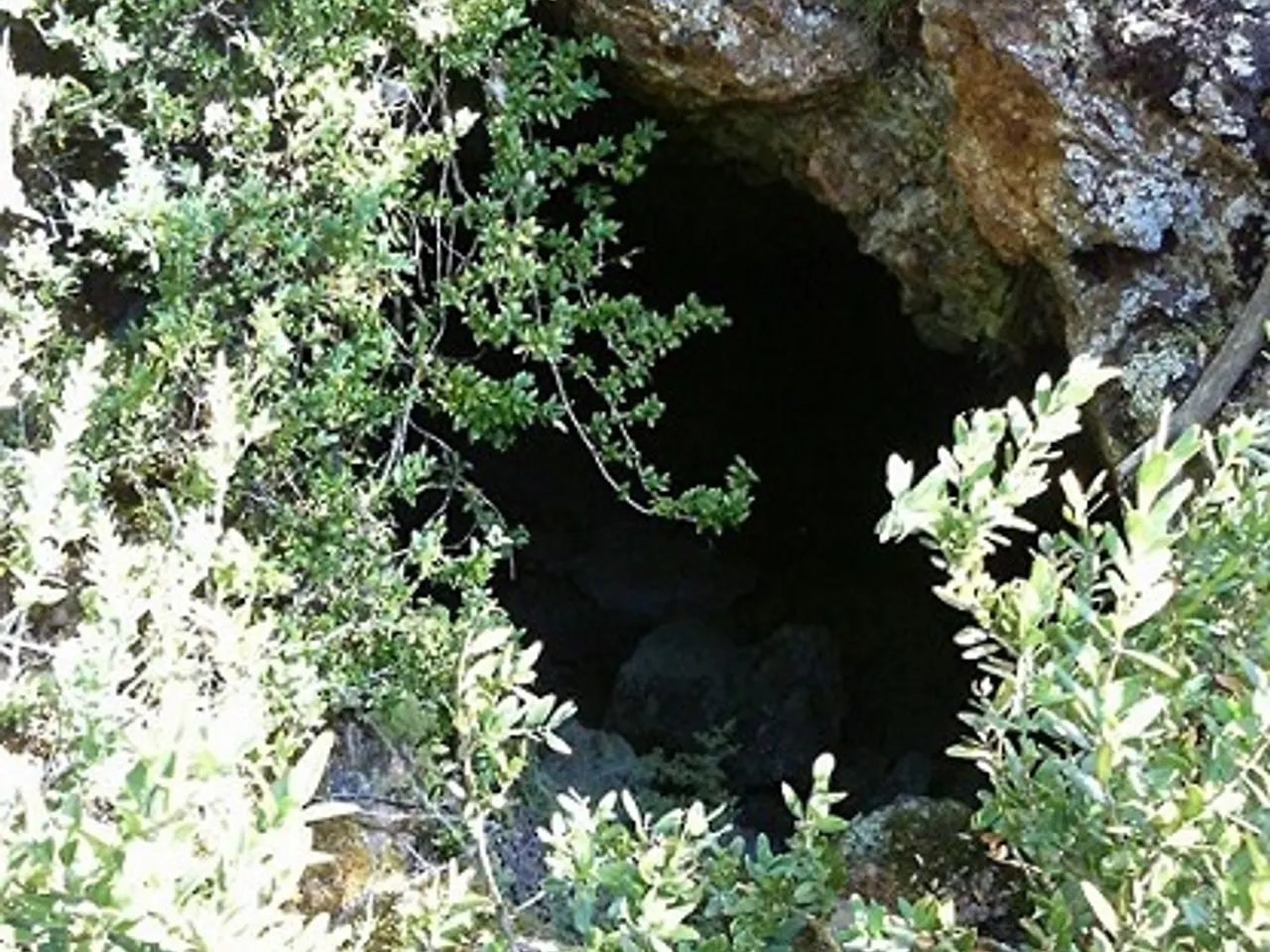 Fotografia de VIMA, COVETA OBRADA DE