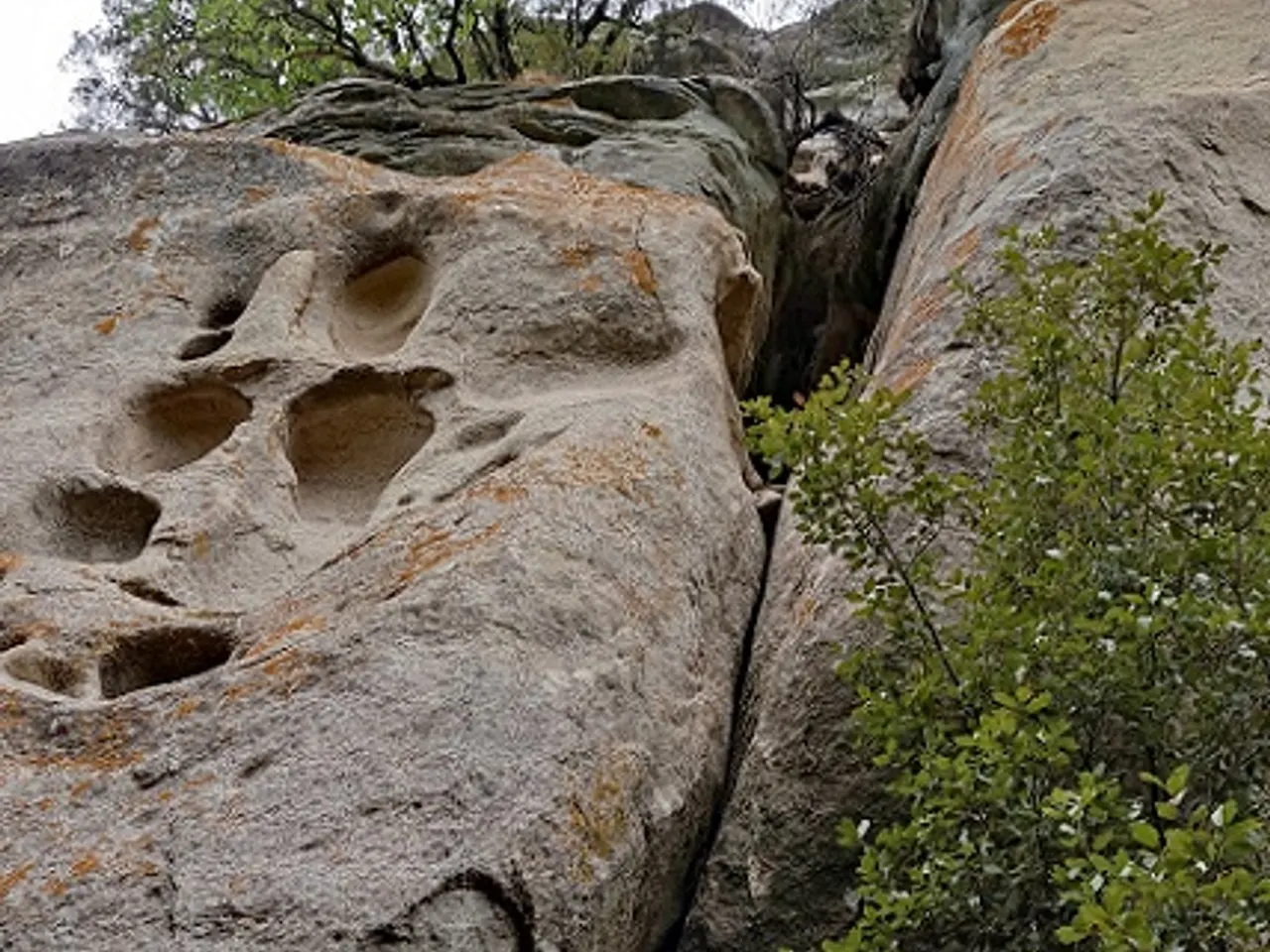 Photograph of PUIG DE LES BALMES, COVA MITJA DEL