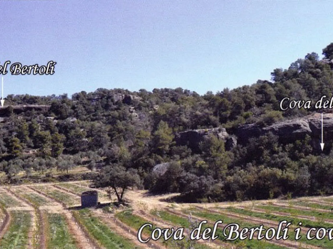 Fotografia de BERTOLÍ, COVA DEL