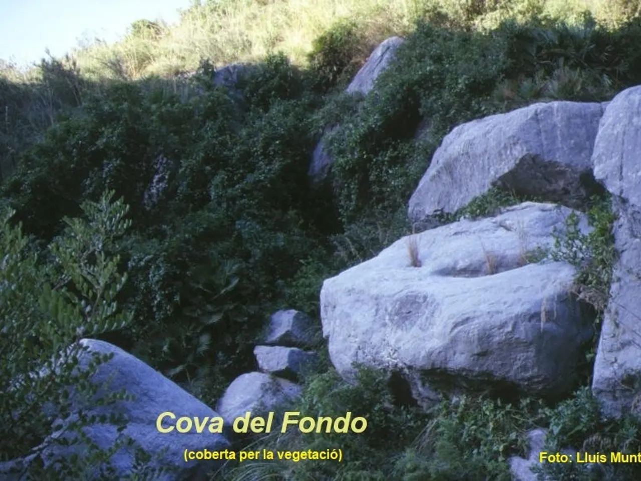 Fotografía de FONDO, COVA DEL