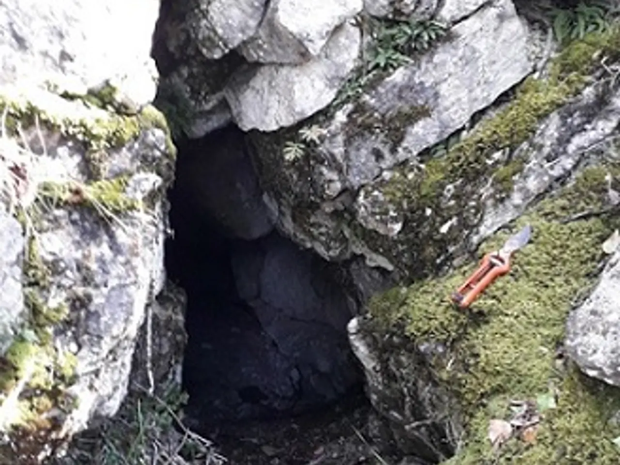 Fotografia de TORRENT DE CAN VERDEGUER, COVA DEL