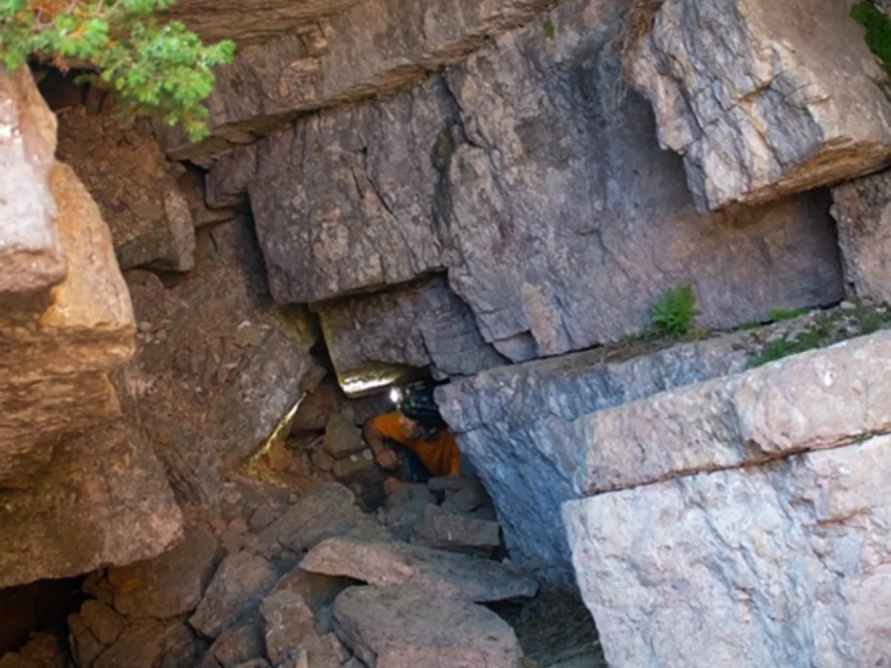 Fotografia de TARTER, FORAT GRAN DEL
