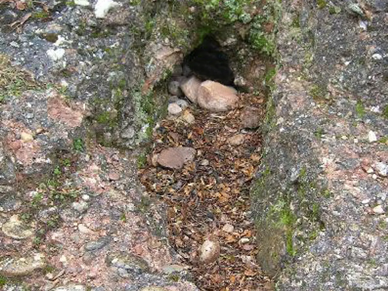 Photograph of CUENTO, AVENC DEL
