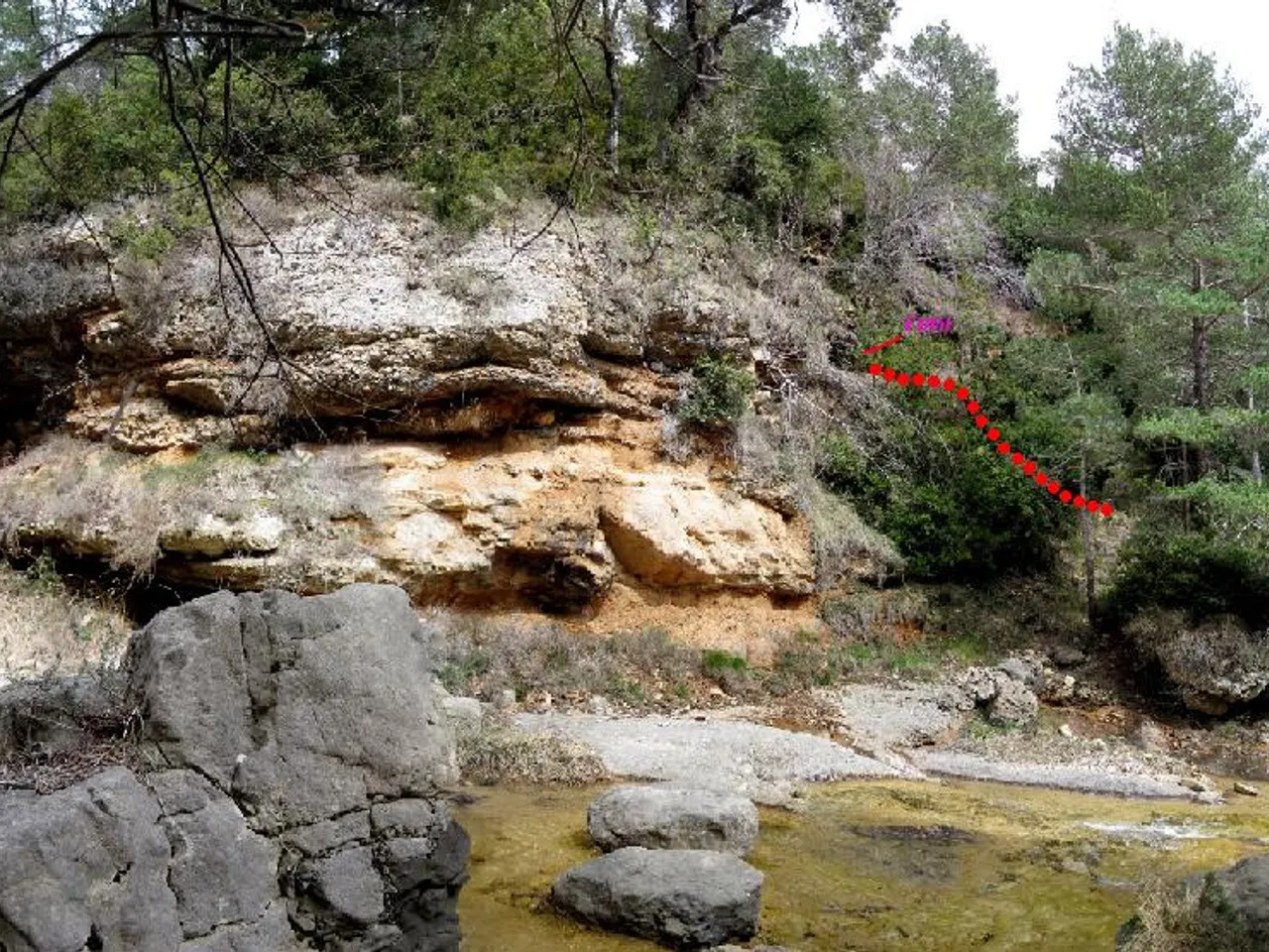 Photographie de MOLINOT, COVA DEL