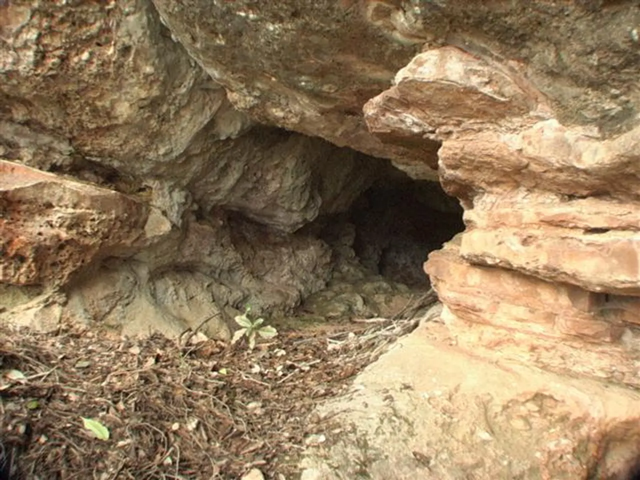 Photographie de REIXAC, COVA DEL