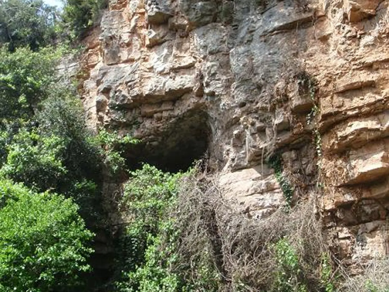 Fotografia de AFRAU, COVA II DE L'