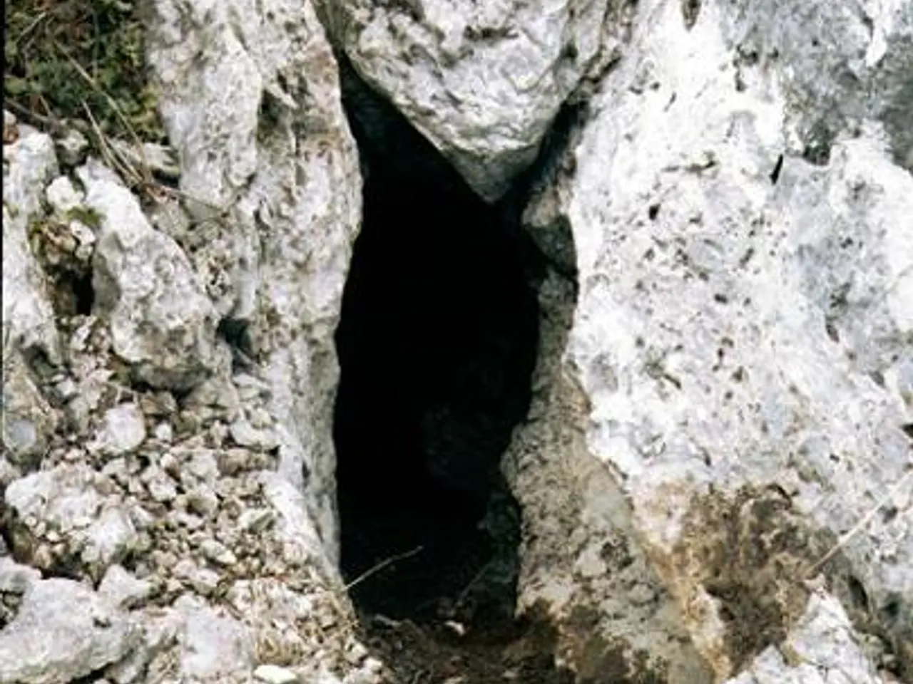 Photograph of BONA VISTA, AVENC DE LA