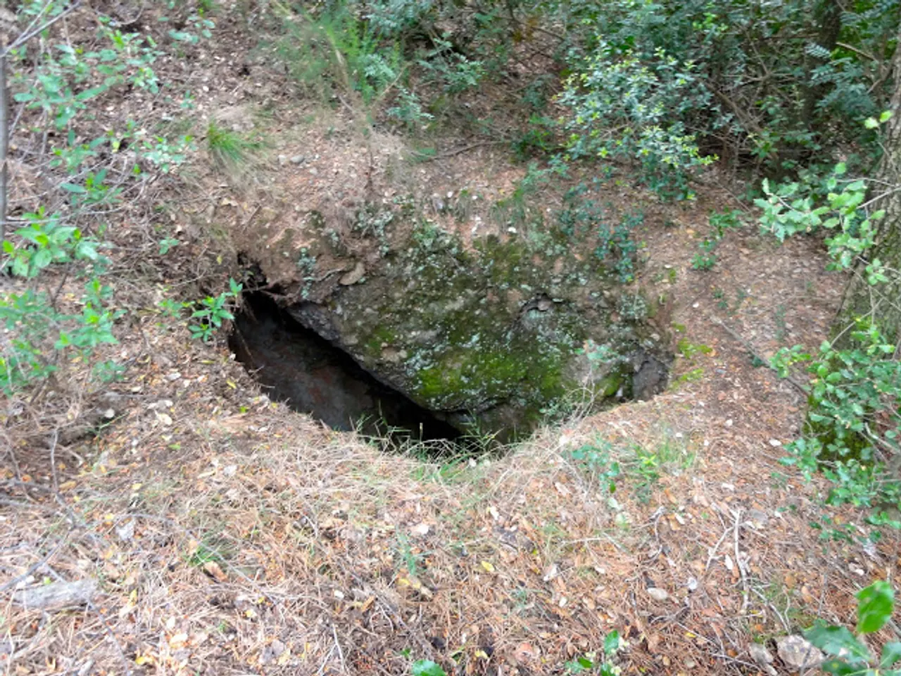 Fotografia de PUJOL DEL MAS PINETÓ, AVENC DEL