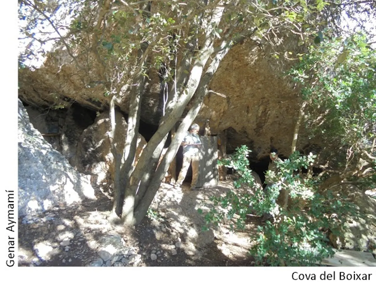 Photographie de BOIXAR, COVA DEL