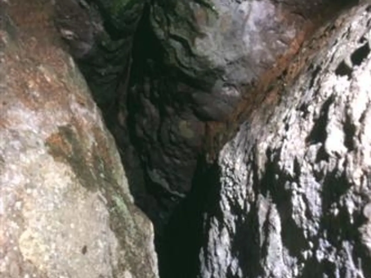 Fotografia de CASTELLASSA DEL DALMAU, COVA DE