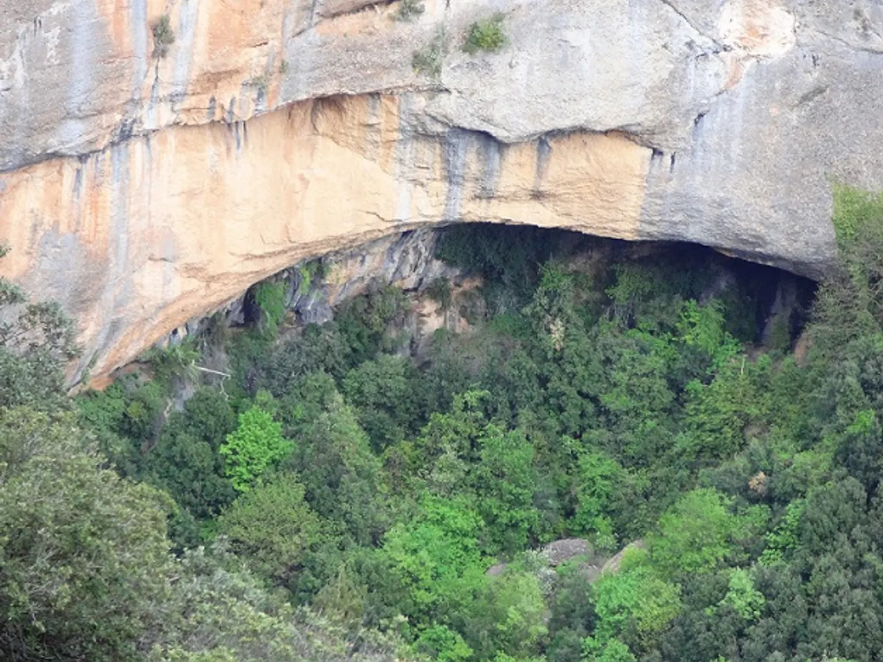 Fotografia de PIXAVAQUES, BALMA DE