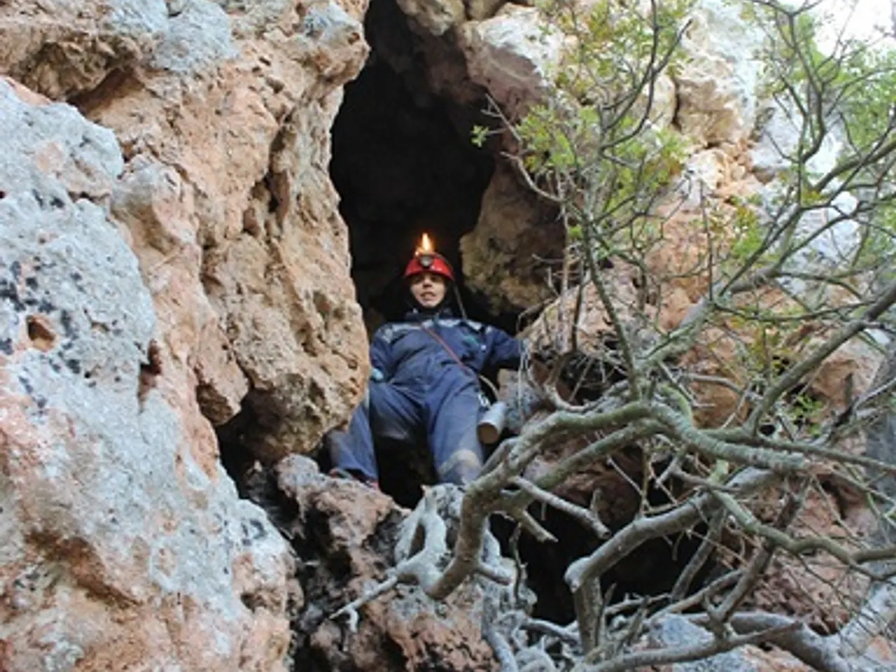 Fotografia de FITÓ, COVA DEL