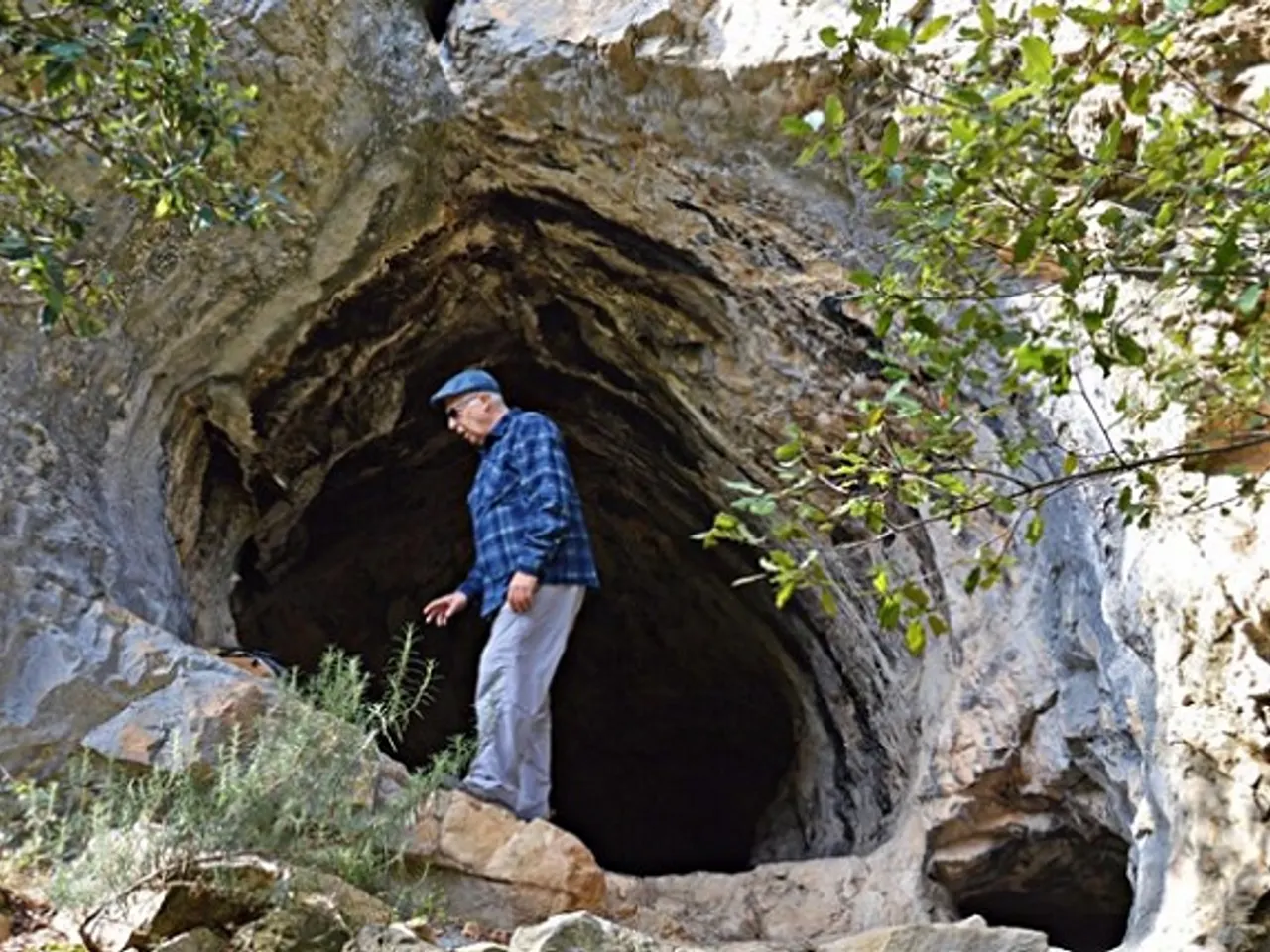 Fotografia de COFÍ, COVA 1 DEL