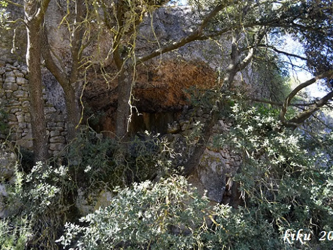 Fotografia de COVA, LA