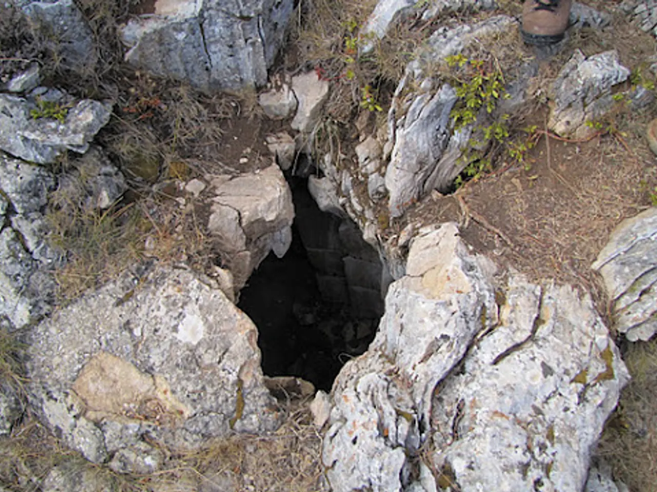 Fotografia de ESTELS DEL SUD, AVENC DELS