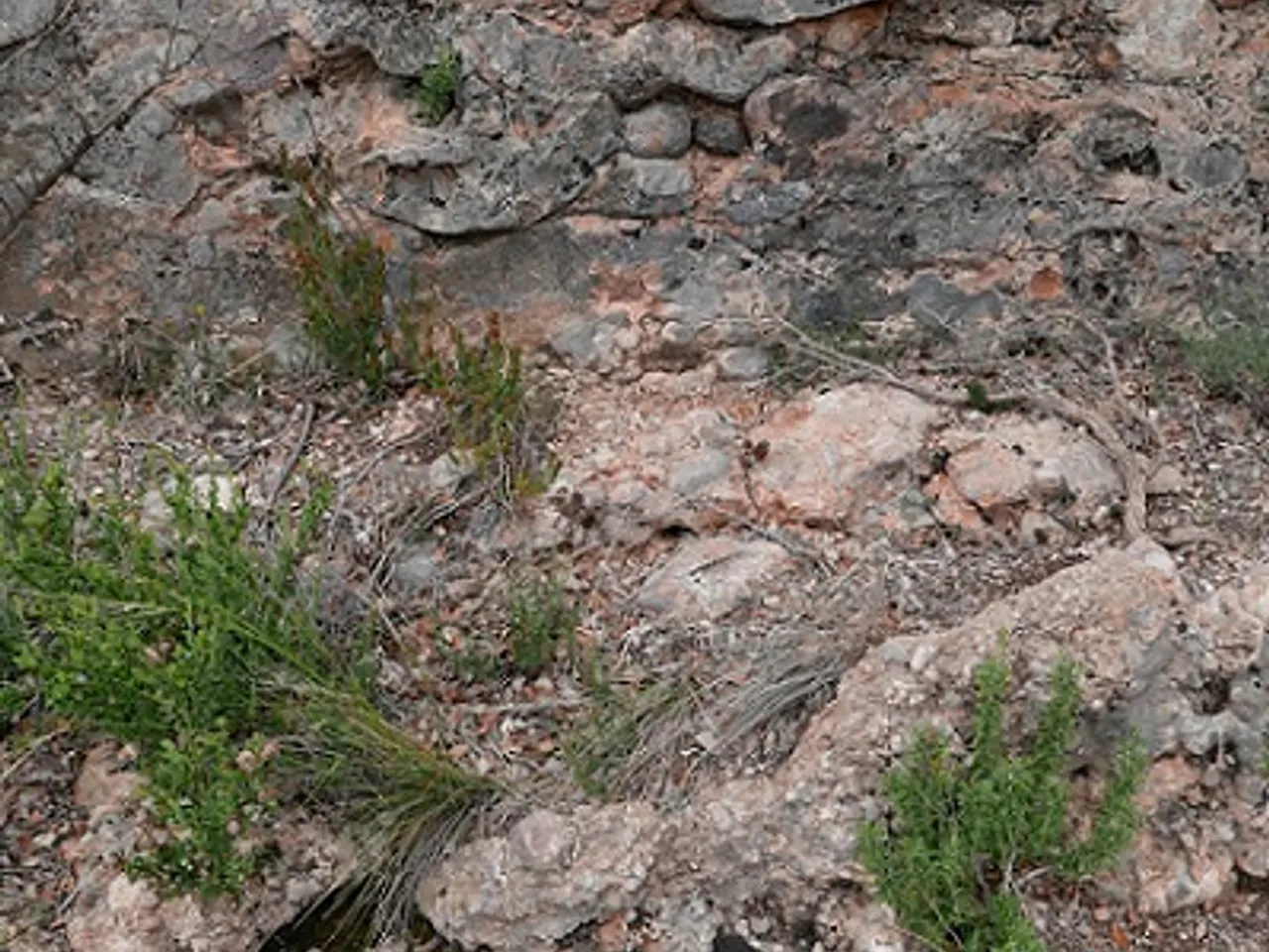 Fotografia de BATERIES, AVENC DE LES