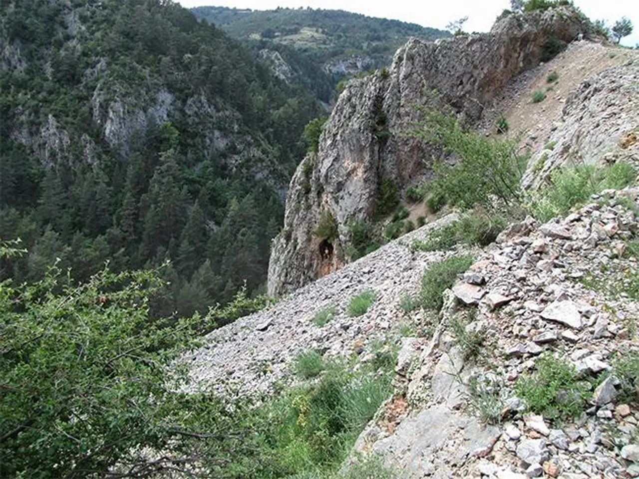 Fotografía de TARTERA DEL SAÜC, FORAT DE LA