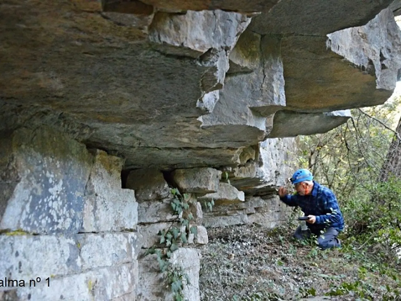 Fotografia de CASTELL DE VILADEMÀGER, BALMES DEL