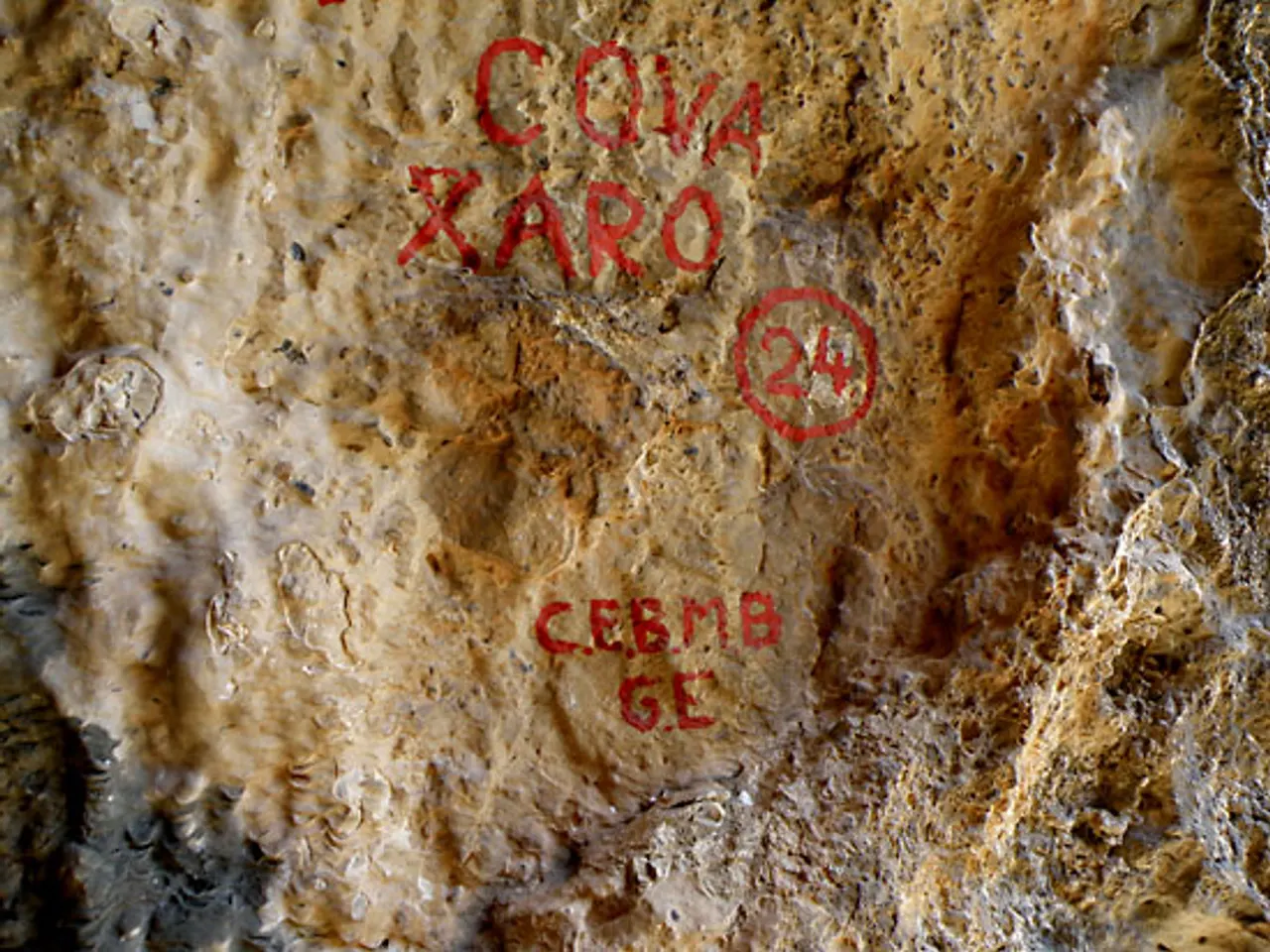 Fotografia de XARO, COVA