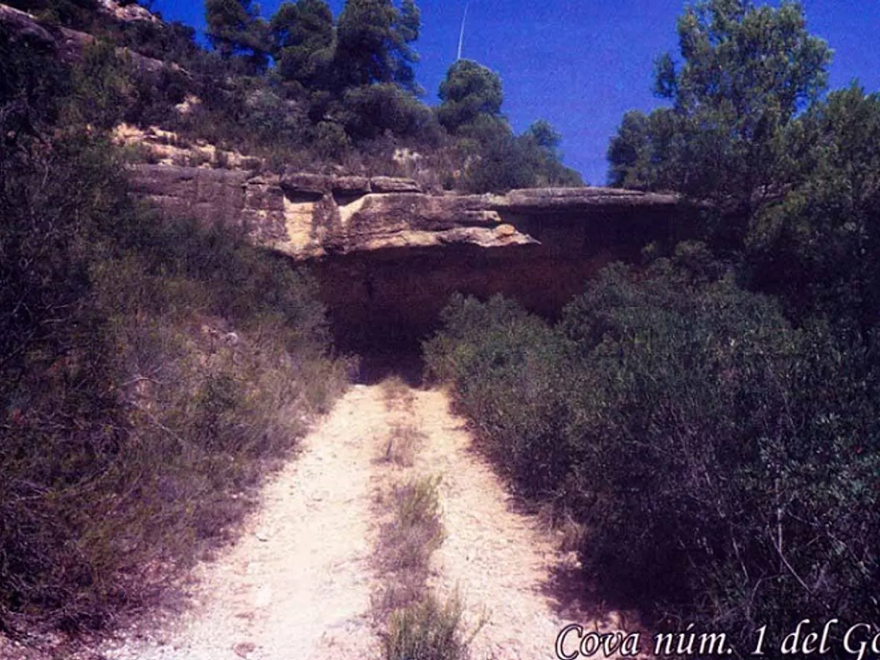 Fotografia de GORI, COVA Nº1 DEL