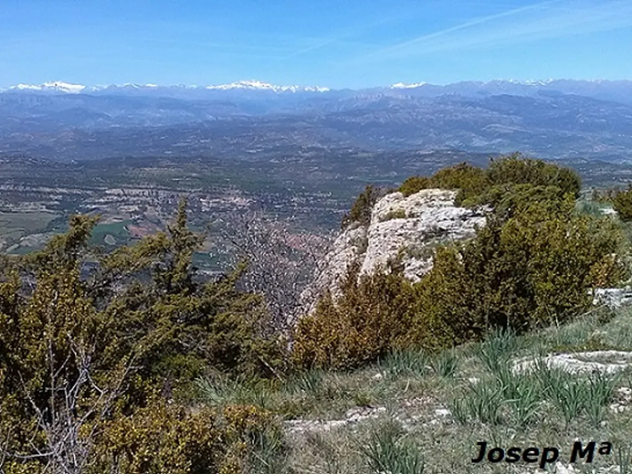Fotografía de CORRALOT, GRALLERA PETITA DEL