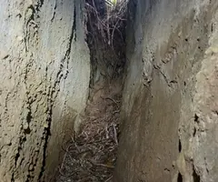 Fotografia de Esquerda Nº1 de l'Aliguer (4 de 6)