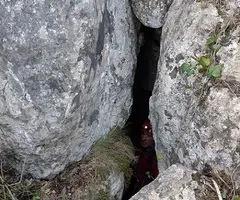 Photographie de Esquerda Nº 1 del Mas de les Fonts (3 sur 13)