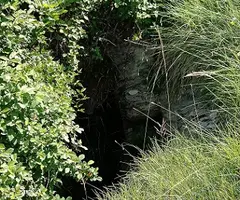 Photograph of Forat del Puig de les Bruixes (4 of 16)