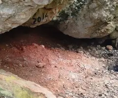 Fotografia de Cova de les Ampolles (1 de 1)