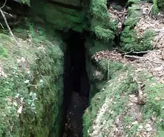 Photograph of Cova de les Angúnies (1 of 5)