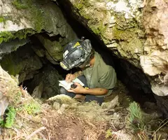 Fotografia de Cova Nº1 del Collet (4 de 6)