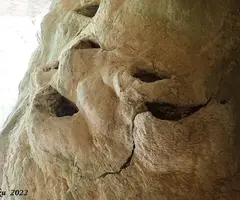 Photographie de Cova dels Coloms de Baix (5 sur 7)