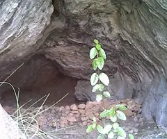 Photograph of Cova del Duc (2 of 2)