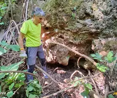 Fotografia de Coves del Gorg d'en Pèlags (4 de 8)