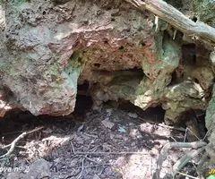 Fotografia de Coves del Gorg d'en Pèlags (5 de 8)