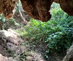 Fotografia de Coves del Gorg d'en Pèlags (7 de 8)