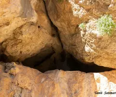 Fotografia de Cova Nº2 de la Núria (2 de 4)