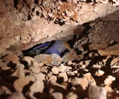 Fotografia de Cova del Riu d'Encija (3 de 6)