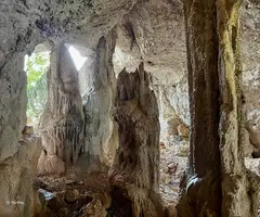 Fotografia de Cova de la Roba (5 de 6)