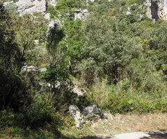 Fotografia de Forat Roig (1 de 3)