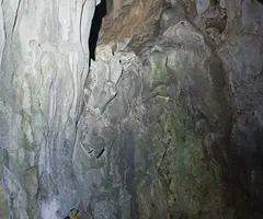 Fotografia de Cova del Seguer (5 de 7)