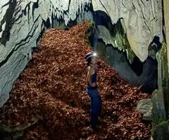 Fotografia de Cova del Seguer (2 de 7)