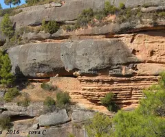 Photographie de ALTES, COVES (5 sur 6)