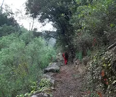 Fotografía de BALCÓ, AVENC DEL (1 de 9)
