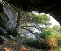 Fotografia de TASSANA, COVA (2 de 5)