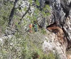 Fotografia de PERDIGONES, COVA GRAN DE (2 de 6)