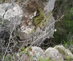 Fotografia de ROCA DEL MIGDIA Nº1, AVENC DE LA (3 de 3)