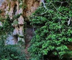 Fotografía de COLLET, COVA DEL (3 de 3)
