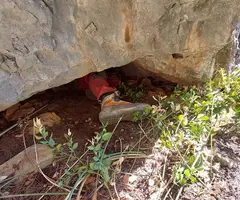 Fotografía de PERDIGONES IV, COVA (1 de 2)
