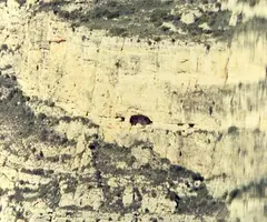 Fotografía de AIGUA, COVA DE L' (2 de 2)